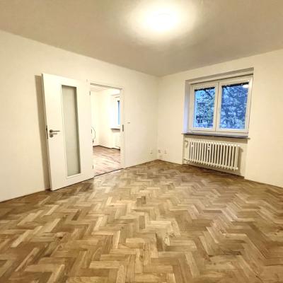 Obývací pokoj / ložnice