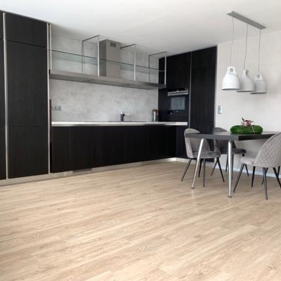 Rekonstrukce Mura Stodulky 01